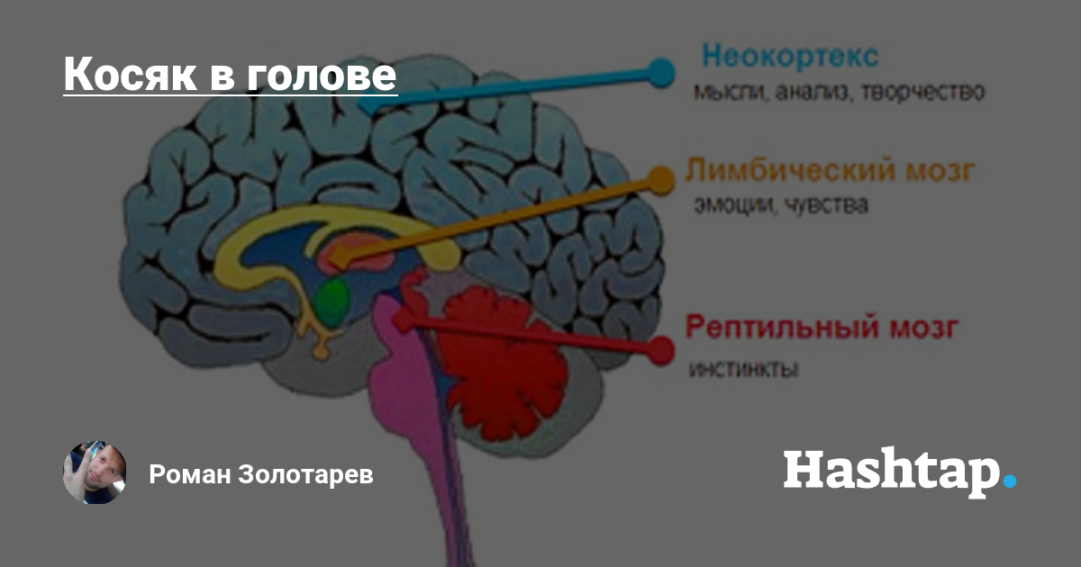 Brain задачи. Рептильный мозг. Рептильный мозг человека древний. Рептильный мозг и неокортекс. Страх рептильный мозг.